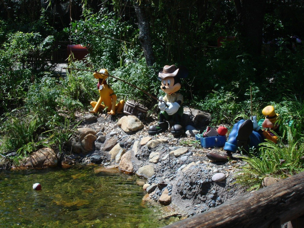 Disney fishing